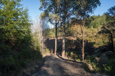 Photo of property in 168 Graham Valley Road, Motueka Valley, Motueka, 7196