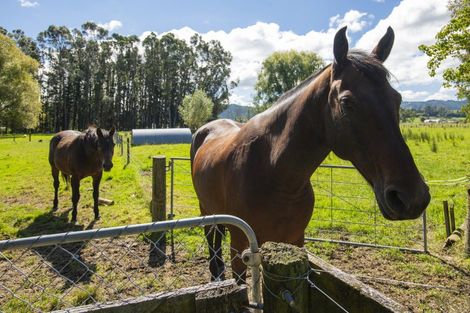 Photo of property in 140 Hansen Road, Makauri, Gisborne, 4071