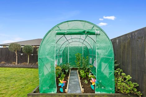 Photo of property in 50 Matipo Street, Matamata, 3400