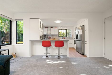 Photo of property in 24a Melrose Street, Roslyn, Dunedin, 9010