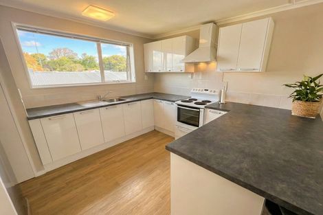 Photo of property in 173 Springfield Road, St Albans, Christchurch, 8014