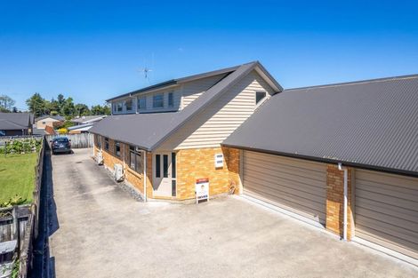 Photo of property in 22d Fifth Avenue, Enderley, Hamilton, 3214