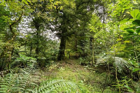 Photo of property in 217 Soldiers Road, Lower Kaimai, Tauranga, 3171