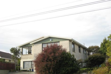 Photo of property in 251 Kenmure Road, Kenmure, Dunedin, 9011