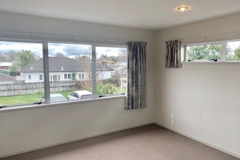 Photo of property in 91 Albert Street, Hamilton East, Hamilton, 3216