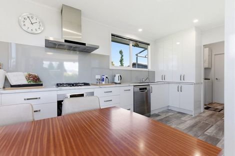 Photo of property in 5 Rata Road, Twizel, 7901