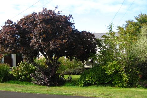 Photo of property in 47 Tay Street, Mosgiel, 9024