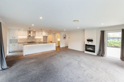 Photo of property in 30 Frederick Street, Terrace End, Palmerston North, 4410