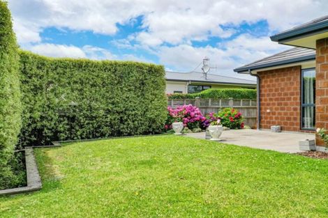 Photo of property in 139 James Street, Whakatane, 3120