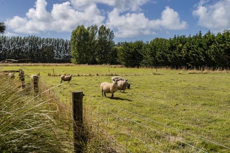 Photo of property in 144 Toppings Road, Sefton, Rangiora, 7477