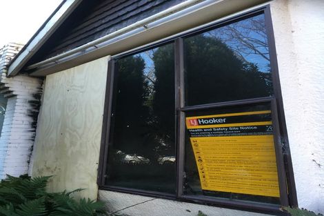 Photo of property in 284 Oxford Street, South Dunedin, Dunedin, 9012