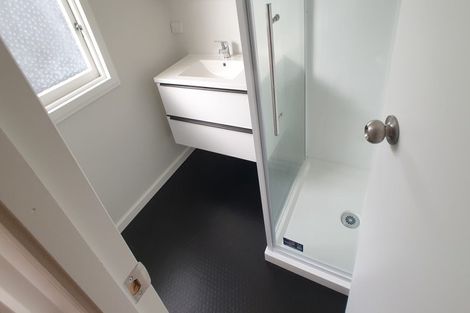 Photo of property in 56 Woodstock Road, Forrest Hill, Auckland, 0620