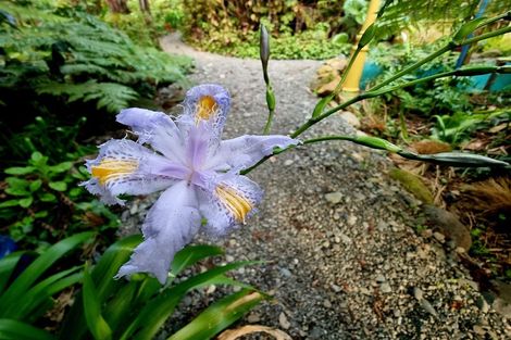 Photo of property in Willow Bay, Mahau Sound, Marlborough Sounds, 7282