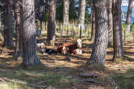 Photo of property in 50f Paul Road, Whenuakite, Whitianga, 3591