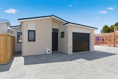 Photo of property in 3/17 Clark Street, Levin, 5510