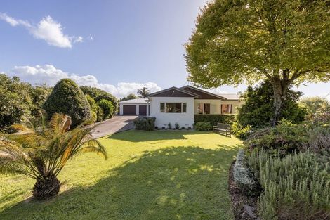 Photo of property in 117 Moffat Road, Bethlehem, Tauranga, 3110