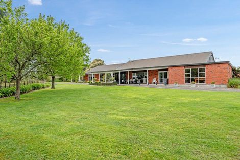 Photo of property in 245 Halcombe Road, Feilding, 4775