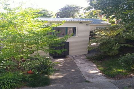 Photo of property in 67 First Avenue, Kingsland, Auckland, 1021