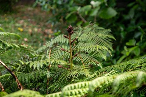 Photo of property in 4 Baxter Way, Karori, Wellington, 6012