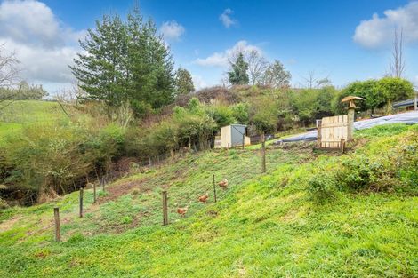 Photo of property in 363 Limeworks Loop Road, Te Pahu, Hamilton, 3285