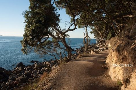 Photo of property in 40g Maunganui Road, Mount Maunganui, 3116