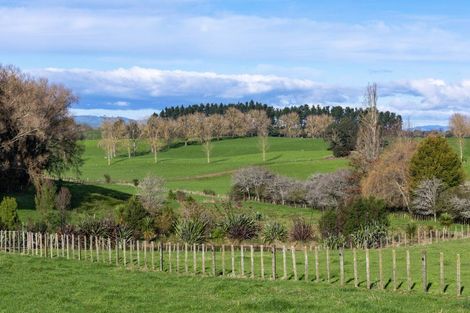 Photo of property in 4953 Ohaupo Road, Te Awamutu, 3879