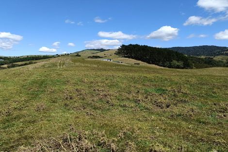 Photo of property in 149b Torehape Road, Kaihere, Ngatea, 3597