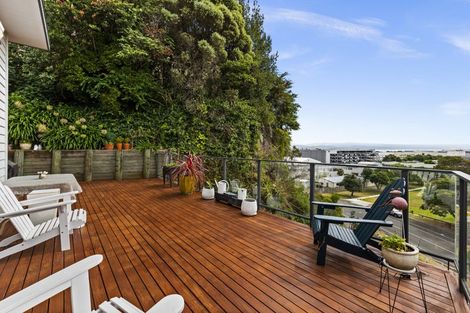 Photo of property in 17 Hospital Lane, Hospital Hill, Napier, 4110