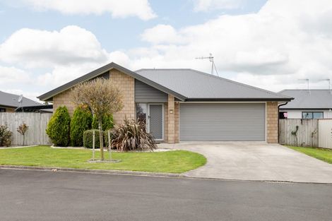 Photo of property in 15 Astor Avenue, Dinsdale, Hamilton, 3204