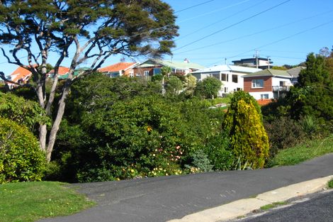 Photo of property in 201 Forfar Street, Maryhill, Dunedin, 9011