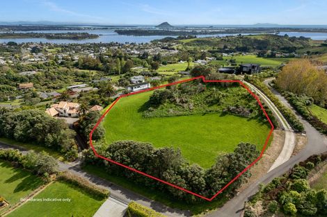 Photo of property in 19 Estates Terrace, Welcome Bay, Tauranga, 3175