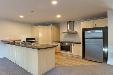 Photo of property in Mendosa Terraces Apartments, 29/9 Ebor Street, Te Aro, Wellington, 6011