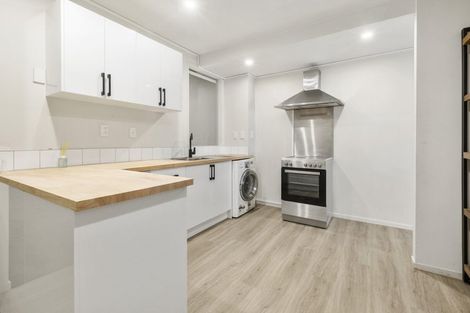 Photo of property in 195a Vivian Street, Te Aro, Wellington, 6011