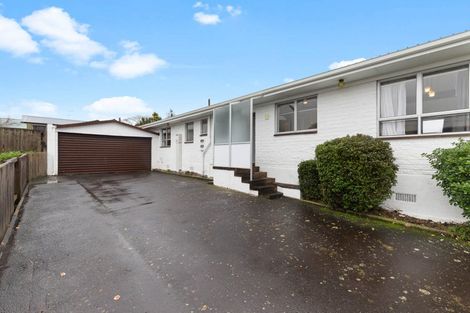 Photo of property in 19 Williams Avenue, Morrinsville, 3300