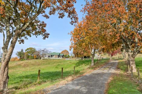 Photo of property in 76b Scott Road, Morrinsville, 3372