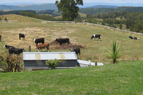 Photo of property in 317 Otake Road, Marotiri, Taupo, 3377