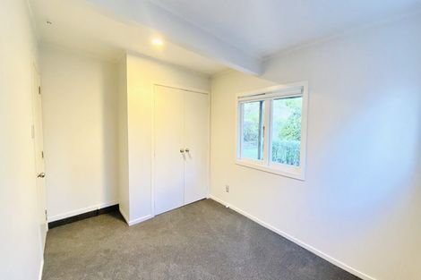 Photo of property in 26 Buchanan Street, Kingsland, Auckland, 1021