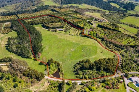 Photo of property in 67d Purangi Road, Purangi, Whitianga, 3591