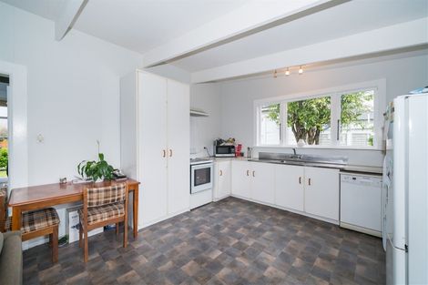 Photo of property in 31 Dahlia Street, Palmerston North, 4410