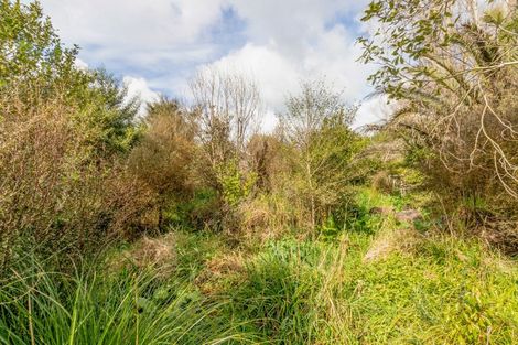 Photo of property in 55 Station Road, Paeroa, 3600