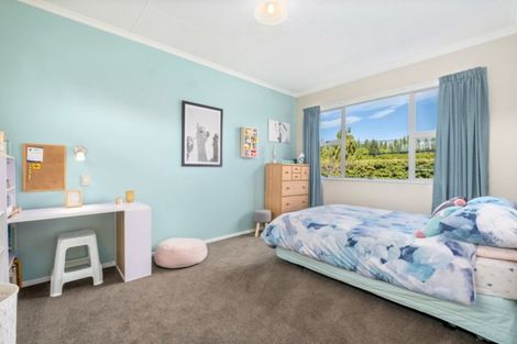 Photo of property in 23 Blackman Road, Earnscleugh, Alexandra, 9391