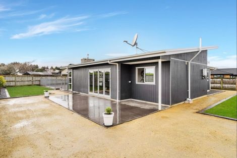 Photo of property in 21 Okarito Avenue, Levin, 5510