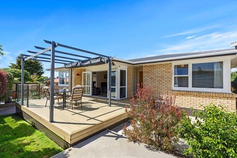 Photo of property in 1 Clifton Terrace, Brookfield, Tauranga, 3110