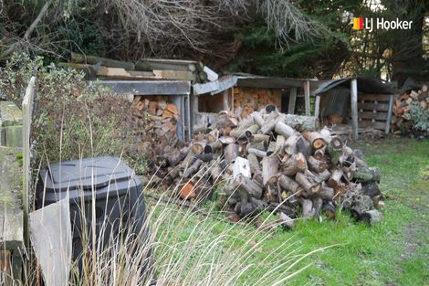 Photo of property in 23 Brough Street, Palmerston, 9430