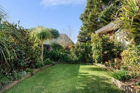 Photo of property in 279b Maungatapu Road, Maungatapu, Tauranga, 3112