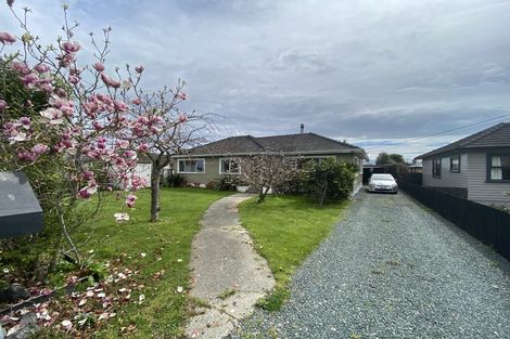 Photo of property in 21 Elizabeth Street, Richmond, 7020