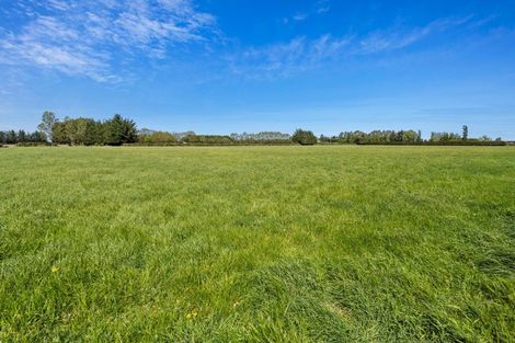 Photo of property in 119 Gartartan Road, Willowby, Ashburton, 7774