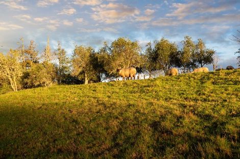 Photo of property in 253 Horseshoe Bush Road, Dairy Flat, Albany, 0794