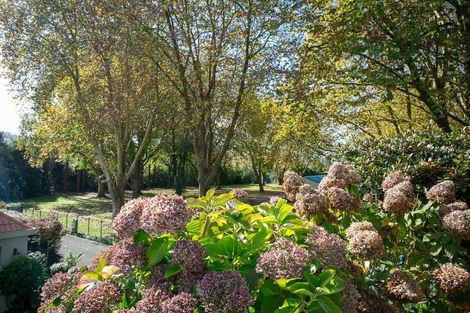 Photo of property in 15 Pope Terrace, Leamington, Cambridge, 3432