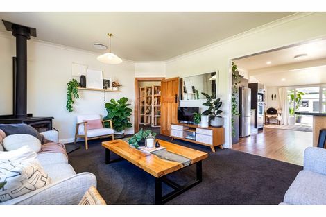 Photo of property in 60 Petrie Street, Richmond, Christchurch, 8013